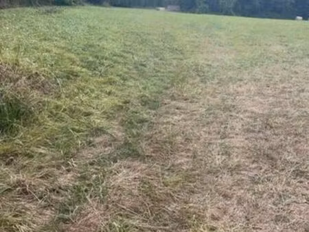 terrain agricole 1 8 hectares