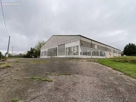 local commercial 1 000 m²