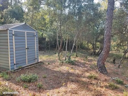 forêt 3 3 ha