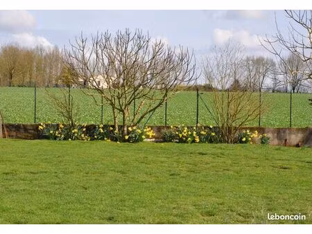 terrain  constructible