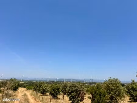 terrain avec 45 chênes truffiers 2160m2