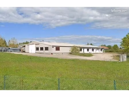 local 1500 m² chaveyriat