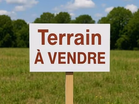 terrain avec ruine