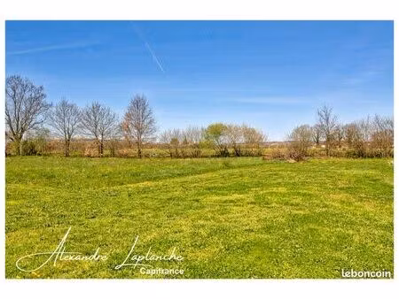 terrain 5 575 m² montauban