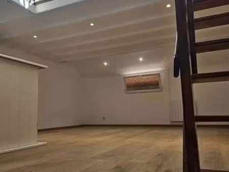 joli petit appartement f1 + mezzanine