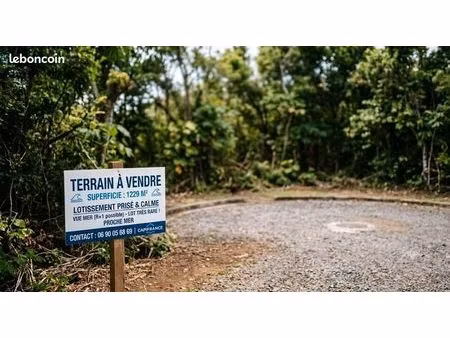 terrain 1 229 m² sainte anne