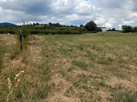 terrain agricole