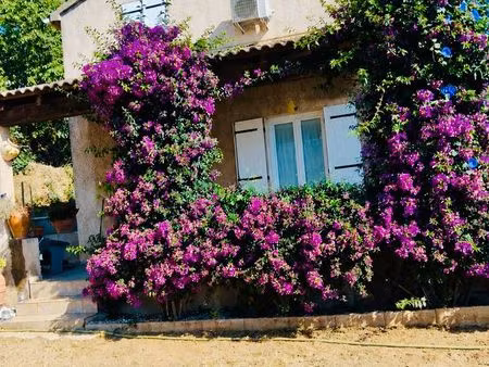 maison brando