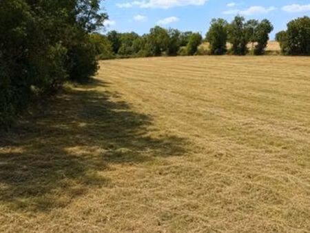 2 terrains a vendre
