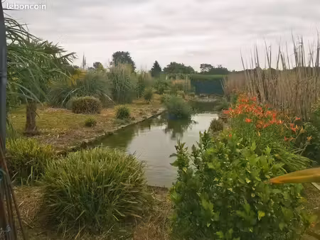 maison avec grand bassin