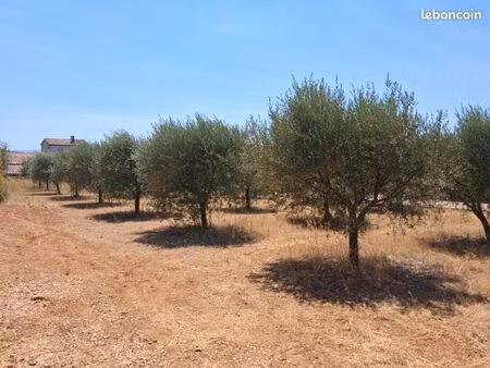 terrain 1 220 m² tavernes