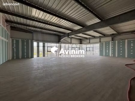 bureaux 346 m² baie-mahault