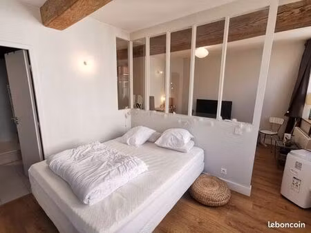 duplex 1 pièce 38 m²