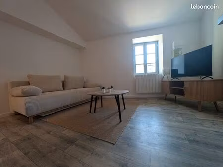 t2 meublé de charme 33 m² – centre neuville-sur-saône – immeuble classé
