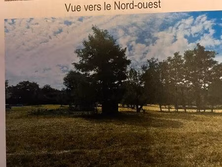 terrain constructible