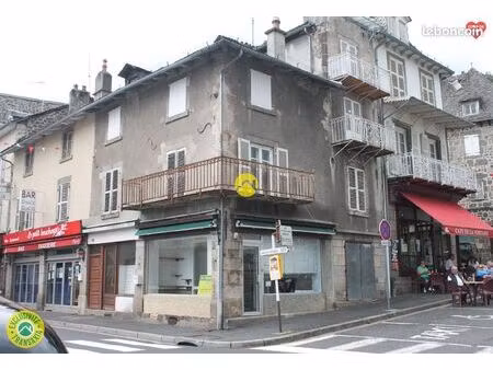 appartement + local commercial