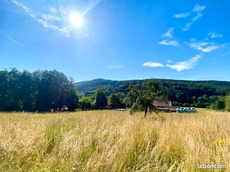 terrain 4 300 m² vescemont