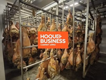 boucherie  charcuterie 1500 m² saint-étienne