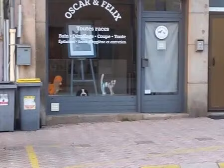 local commercial