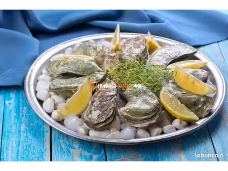 restaurant 400 m² les sables-d'olonne