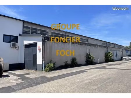local 966 m² rillieux-la-pape