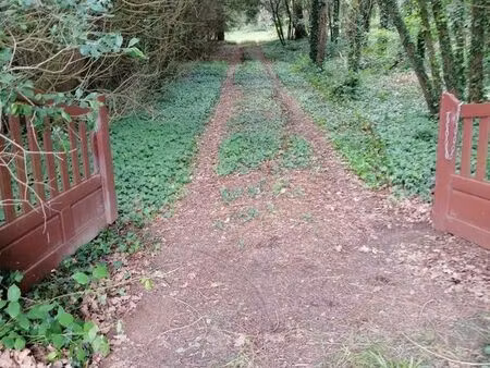 rare - bois de loisir aménagé 1 7 ha avec cabane et puits - proche mer