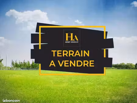 terrain 2 377 m² le tampon
