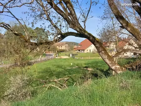 terrain - le petit roulans