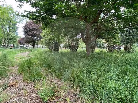 terrain 3 885 m² saint palais sur mer