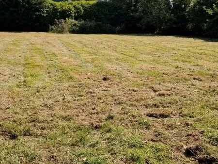 terrain constructible