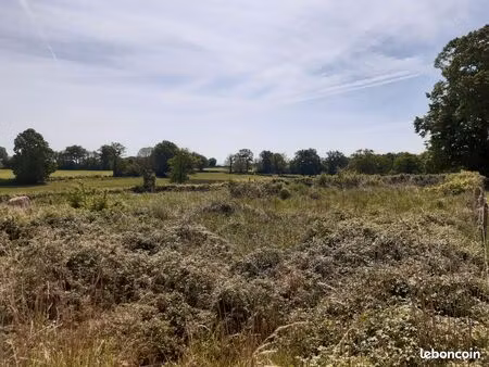 terrain constructible
