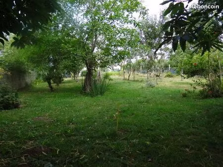 terrain constructible