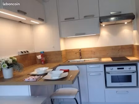 studio meublé 28m2 – à 2 minutes edhec et face au parc barbieux dispo le 1er aout