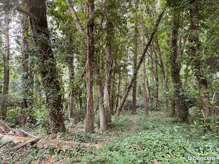 vends parcelle forêt 3 4 hectares plozevet