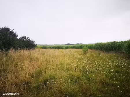 terrain agricole de 1100 m² environ