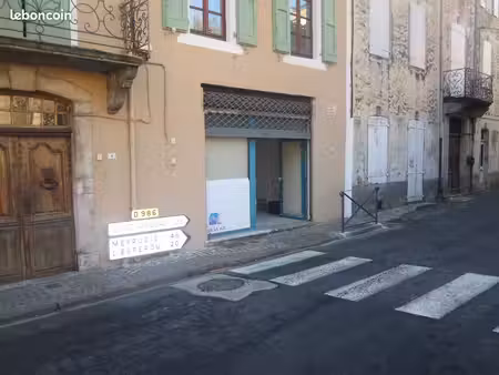 local commercial et maisonnette