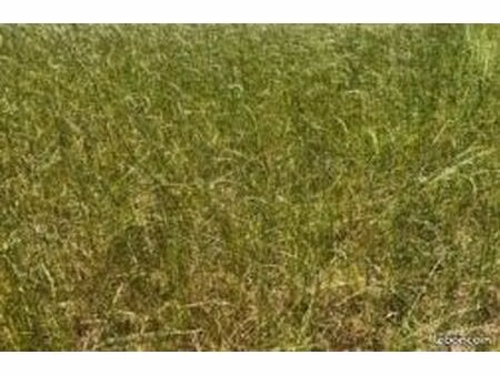 terrain 395 m² plougoulm