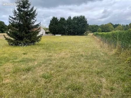 terrain constructible
