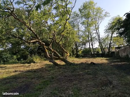 terrain constructible piscinable ( non viabilisé )