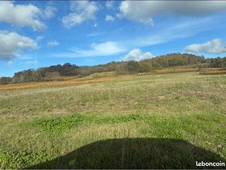 terrain agricole