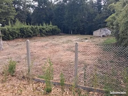 terrain constructible