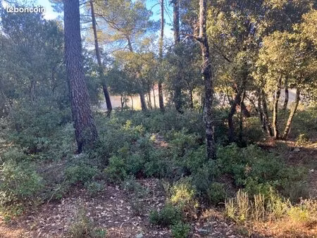 terrain plat constructible