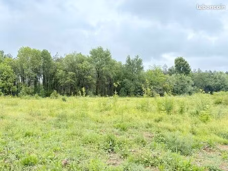 terrain 1 150 m² villaudric