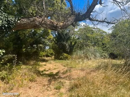 terrain 1 000 m² saint selve