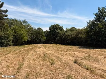 terrain constructible