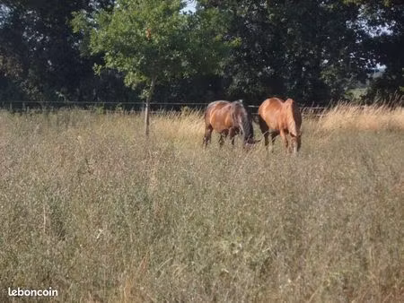 terrain agricole
