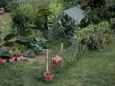 maison de ville avec jardin