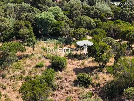 terrain 1031 m² cavalaire-sur-mer