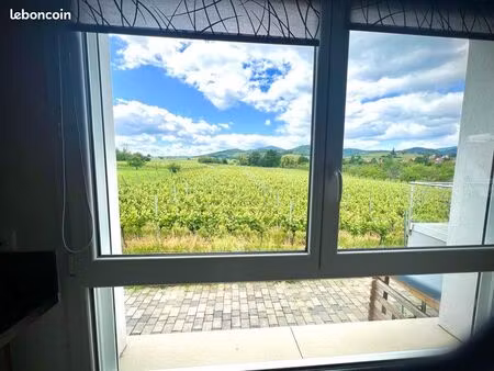 rare à la location – maison contemporaine meublée avec vue panoramique sur les vignes – ei