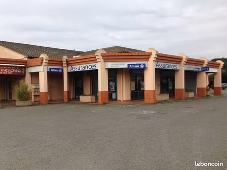 vente murs commerciaux libre 31790 saint jory